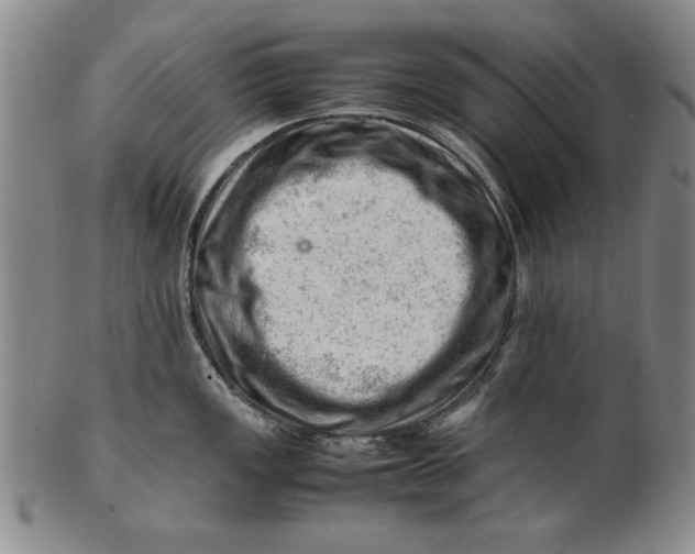 X0000101961149200808081522