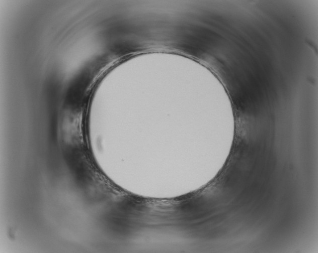 X0000101961150200808081522