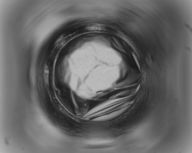 X0000101961151200808081522