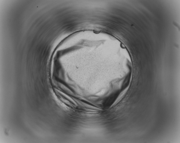 X0000101961152200808081522