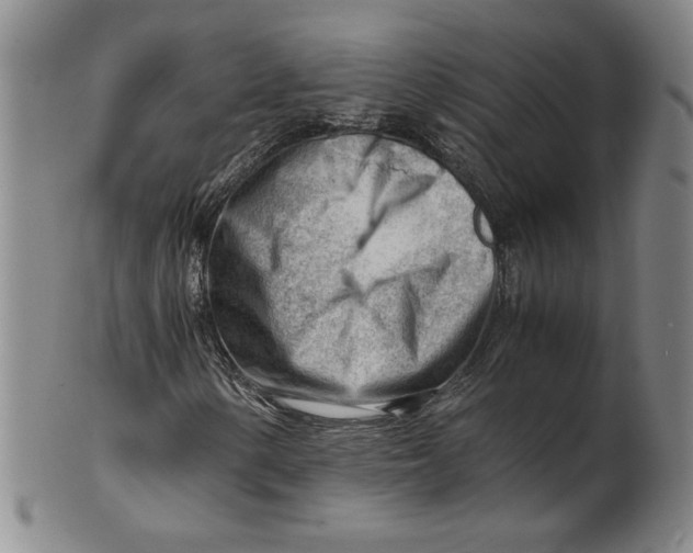 X0000101961154200808081522