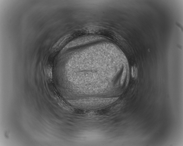 X0000101961155200808081522