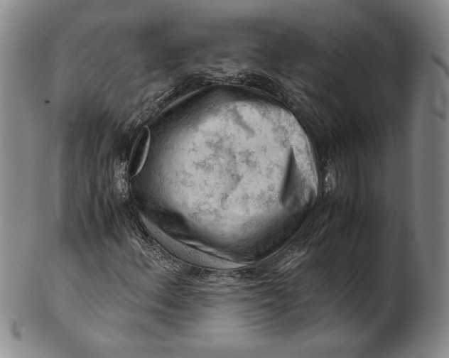 X0000101961156200808081522