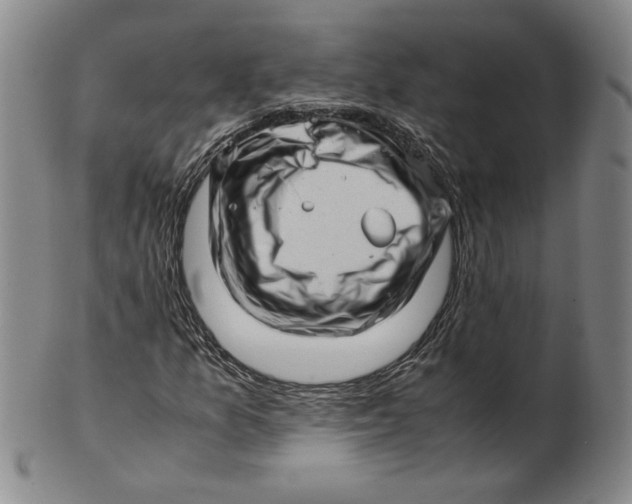 X0000101961157200808081522