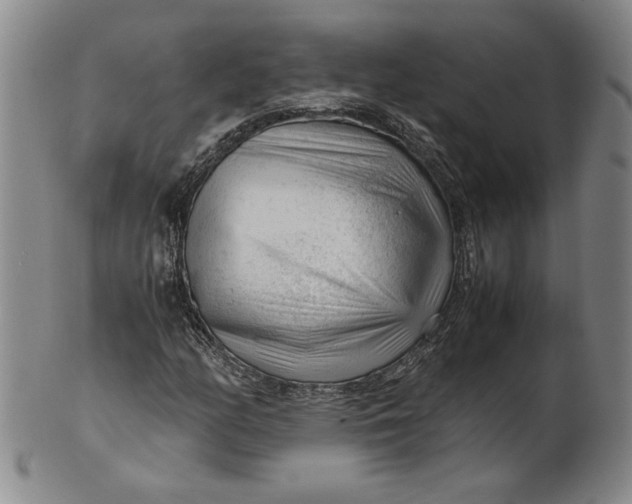 X0000101961158200808081522