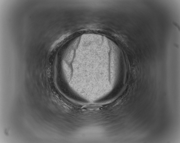 X0000101961159200808081522