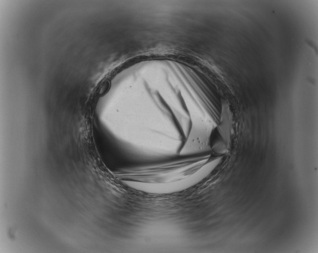 X0000101961160200808081522