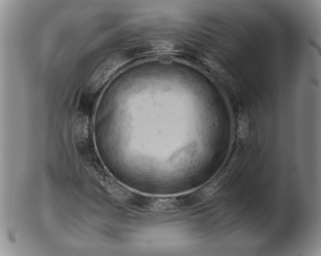 X0000101961161200808081522