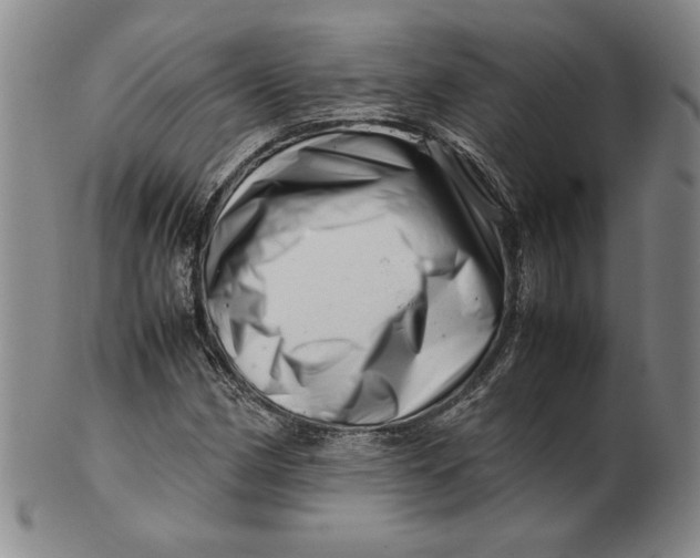 X0000101961162200808081521