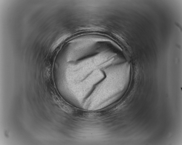 X0000101961163200808081521