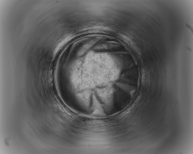 X0000101961164200808081521