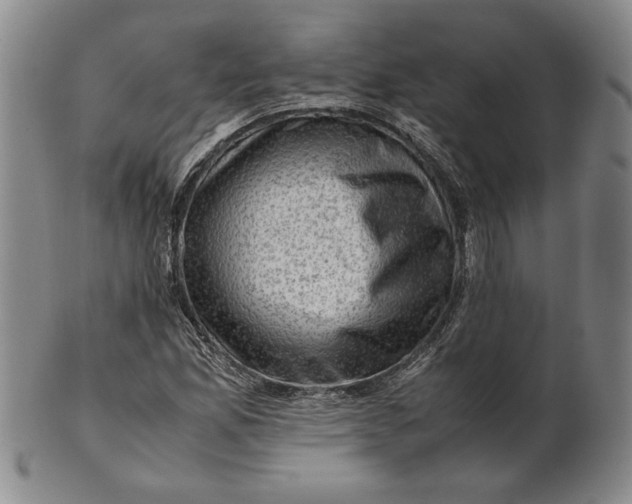 X0000101961165200808081521