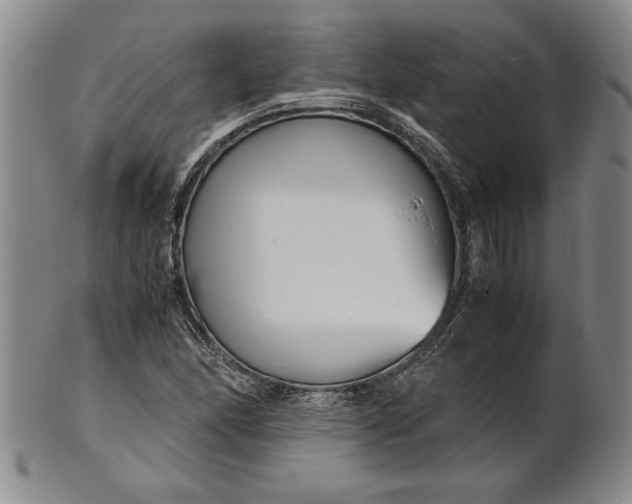 X0000101961166200808081521