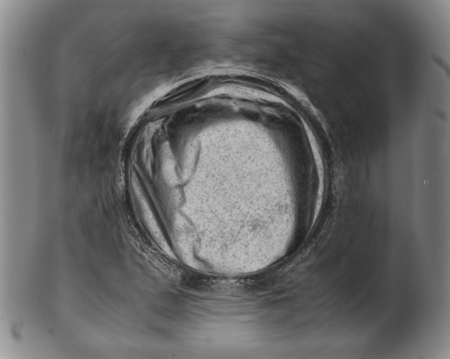 X0000101961167200808081521