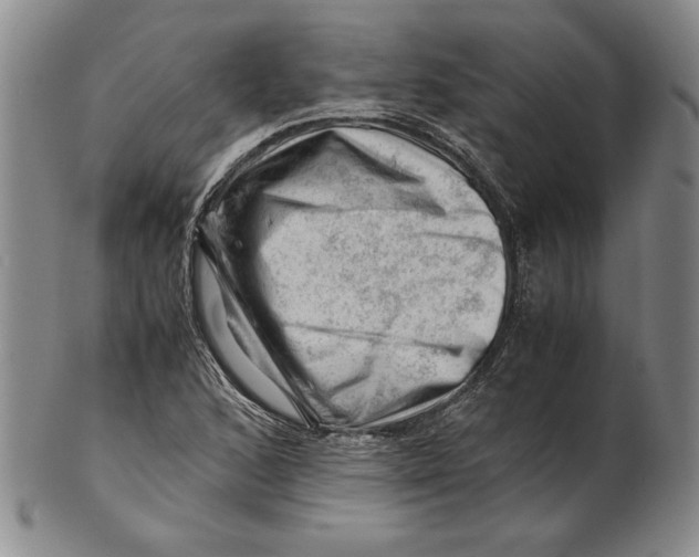 X0000101961168200808081521