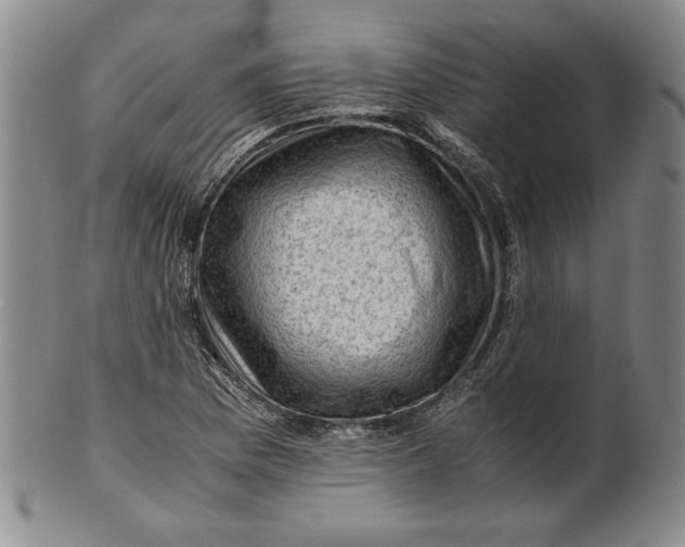 X0000101961169200808081521