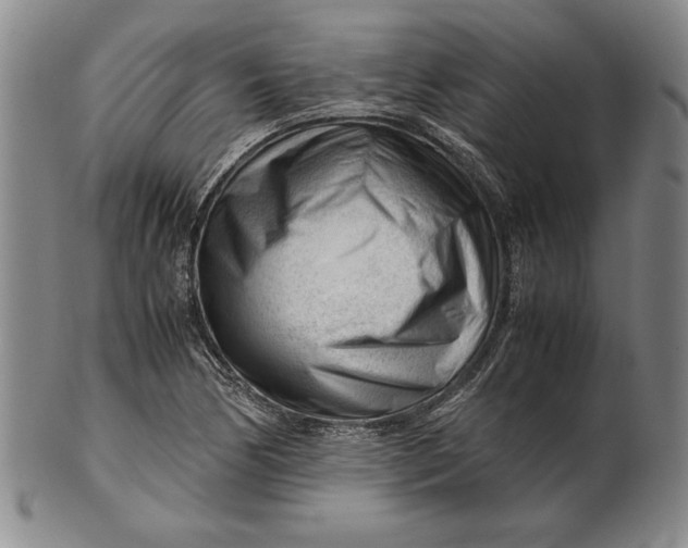 X0000101961170200808081521