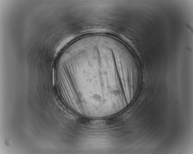 X0000101961171200808081521