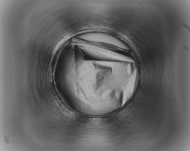 X0000101961172200808081521