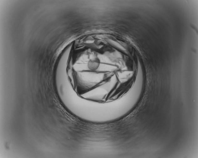 X0000101961173200808081521