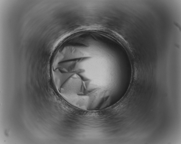 X0000101961174200808081521