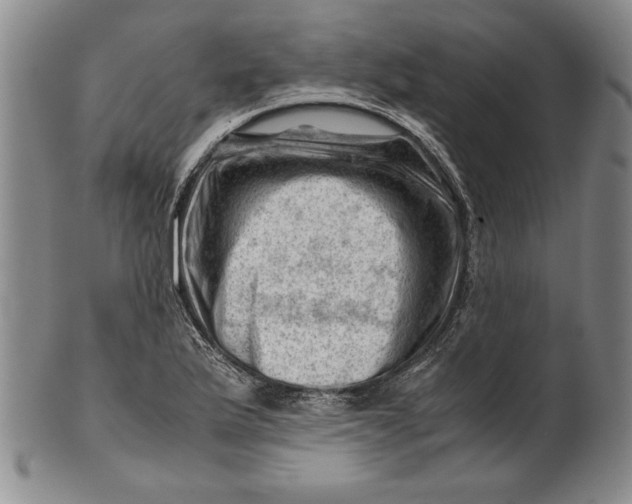 X0000101961175200808081521