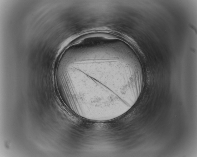 X0000101961176200808081521