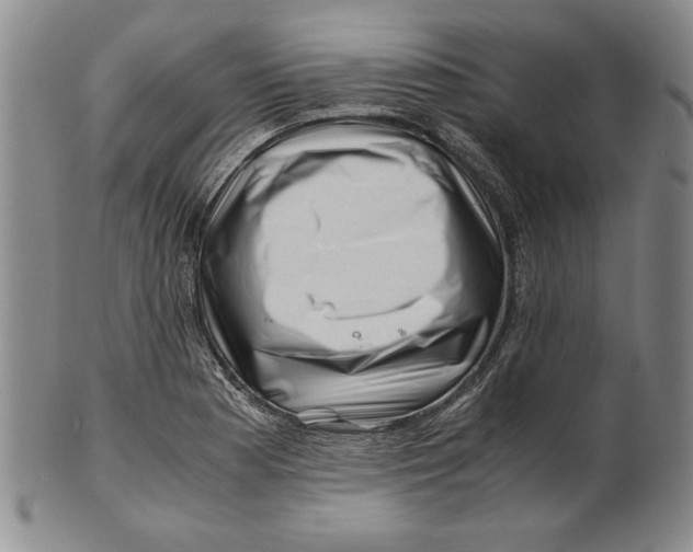 X0000101961177200808081521