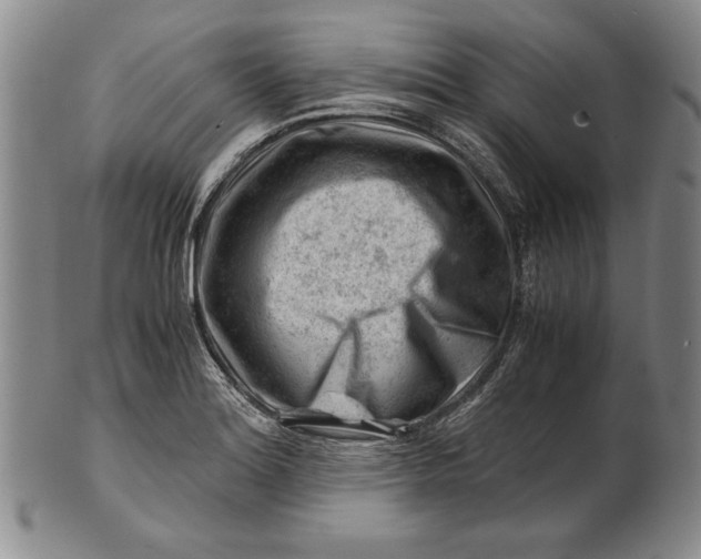 X0000101961180200808081521