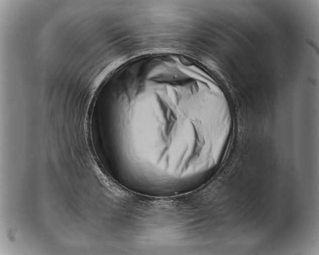 X0000101961181200808081521