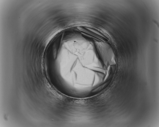 X0000101961182200808081521