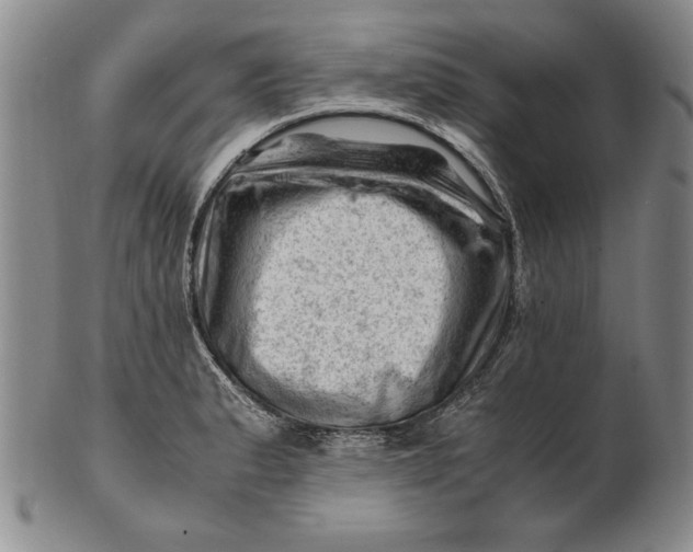 X0000101961183200808081521