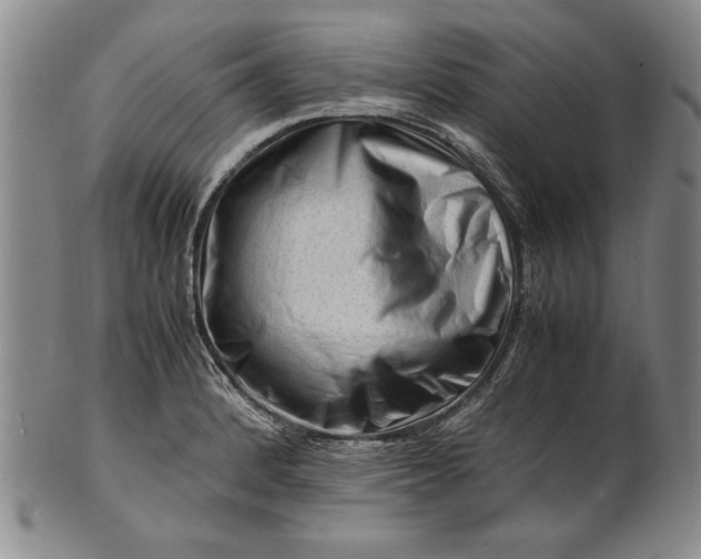 X0000101961184200808081521