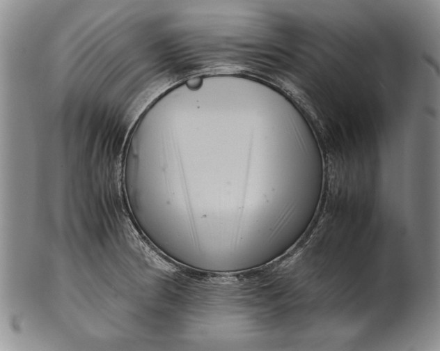 X0000101961186200808081521