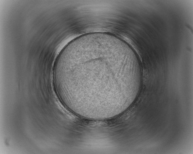 X0000101961187200808081521