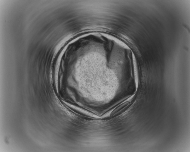 X0000101961188200808081521