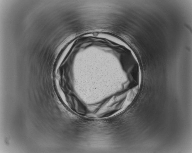 X0000101961189200808081521