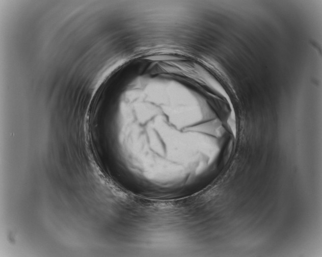 X0000101961190200808081521