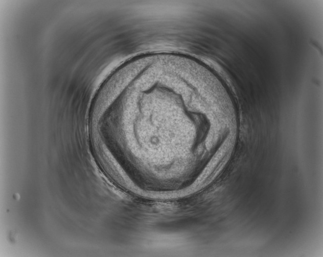 X0000101961191200808081521