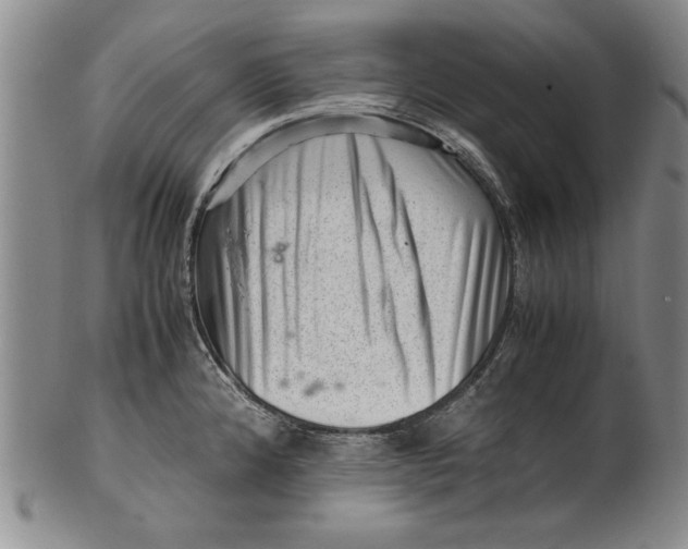 X0000101961192200808081521