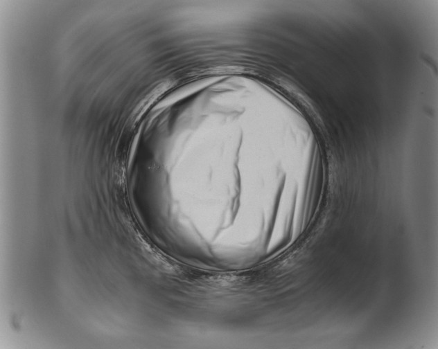 X0000101961193200808081521