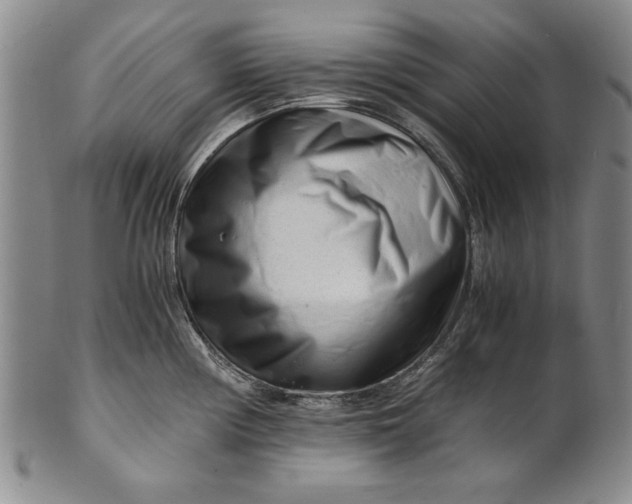 X0000101961194200808081521