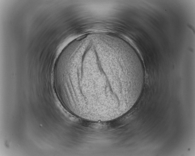 X0000101961195200808081521