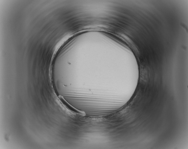 X0000101961196200808081521