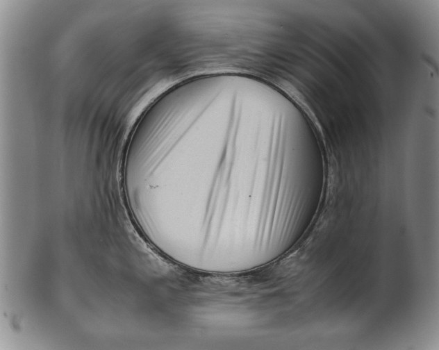 X0000101961197200808081521