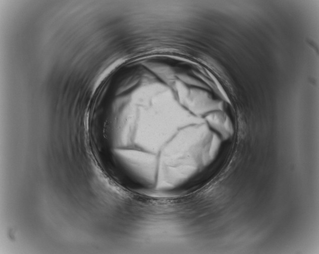 X0000101961198200808081521