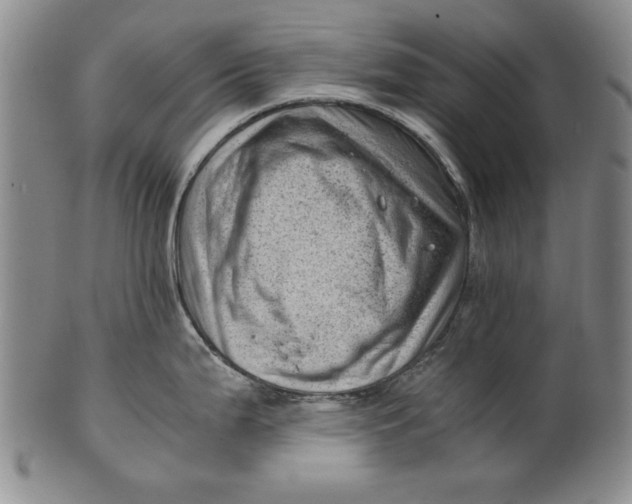 X0000101961199200808081521