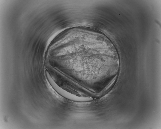 X0000101961200200808081521