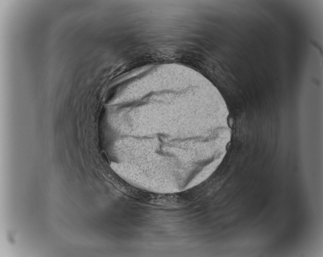 X0000101961201200808081520