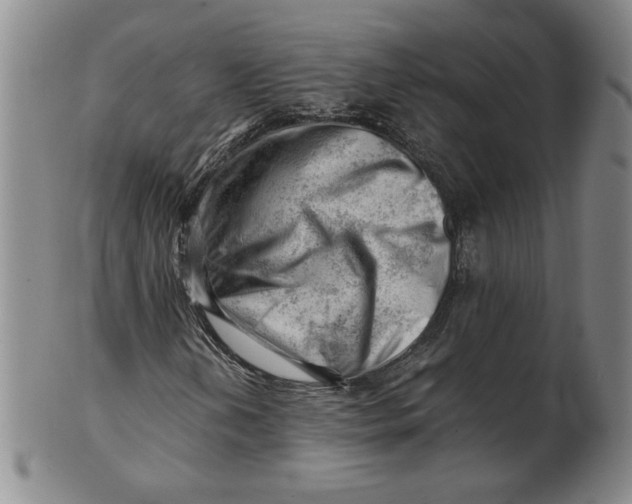 X0000101961202200808081520